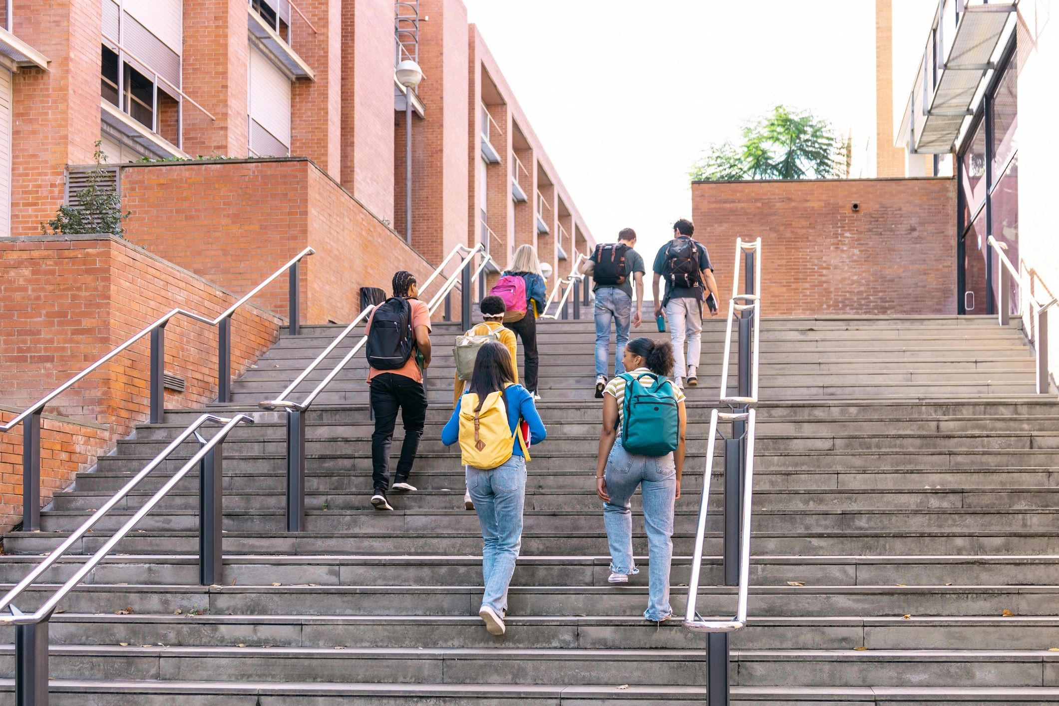 Students walking together on campus stairs